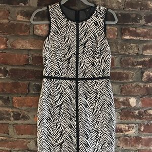 Loft knee-length business casual dress